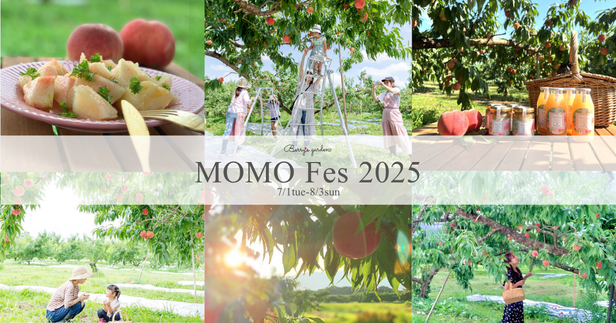 【7/1tue-8/3sun】MOMO Fes  2025のお知らせ【発送・体験】
